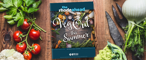 Veg Out This Summer cookbook cover