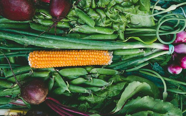 How to Freeze Your Garden Vegetables